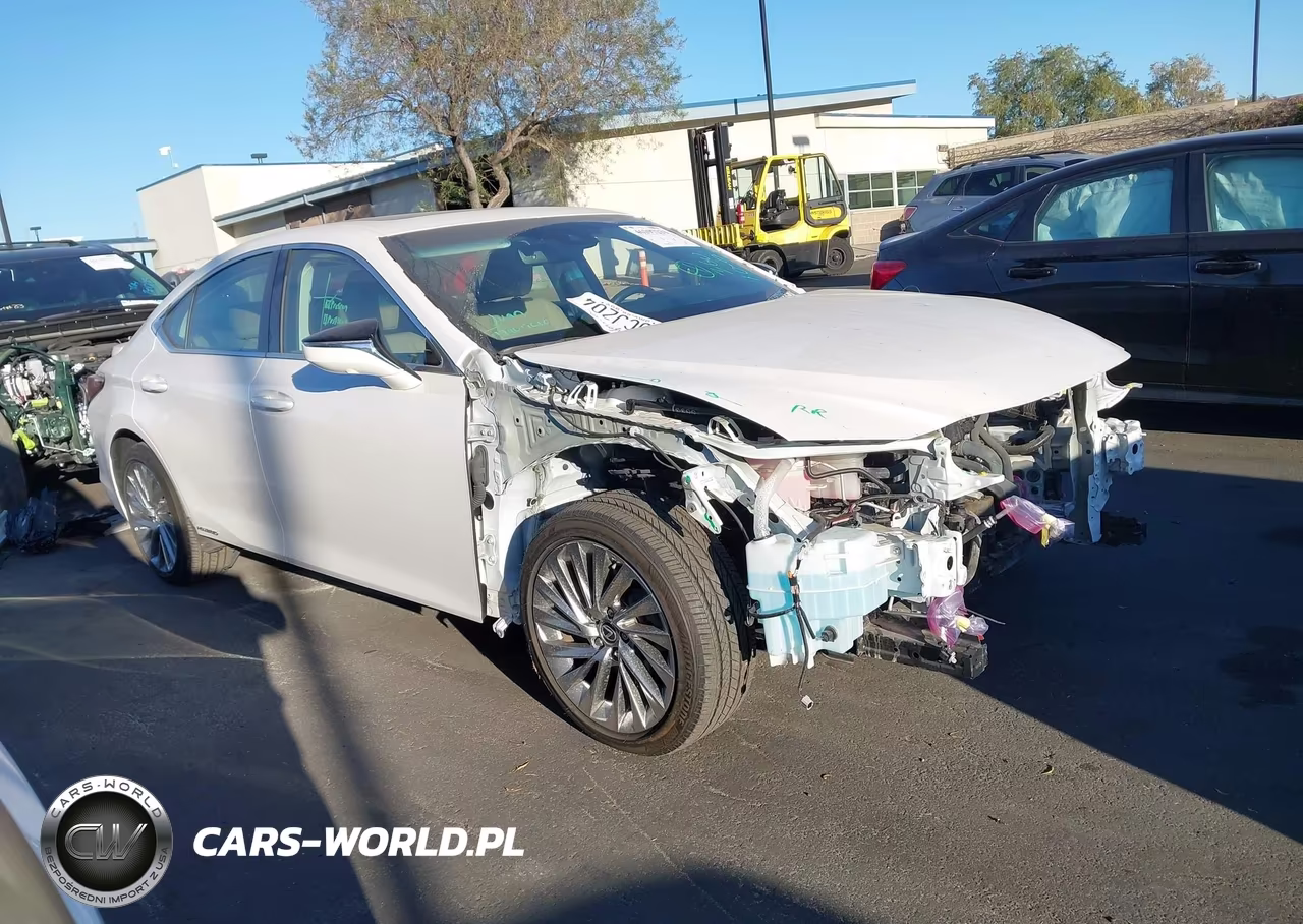 2020 Lexus Es 300H Luxury VIN:58AE21B12LU010655 - 14
