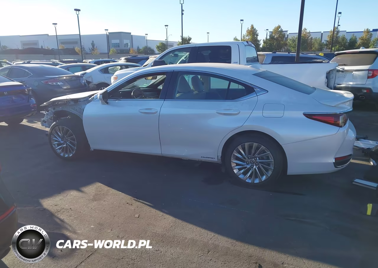 2020 Lexus Es 300H Luxury VIN:58AE21B12LU010655 - 15