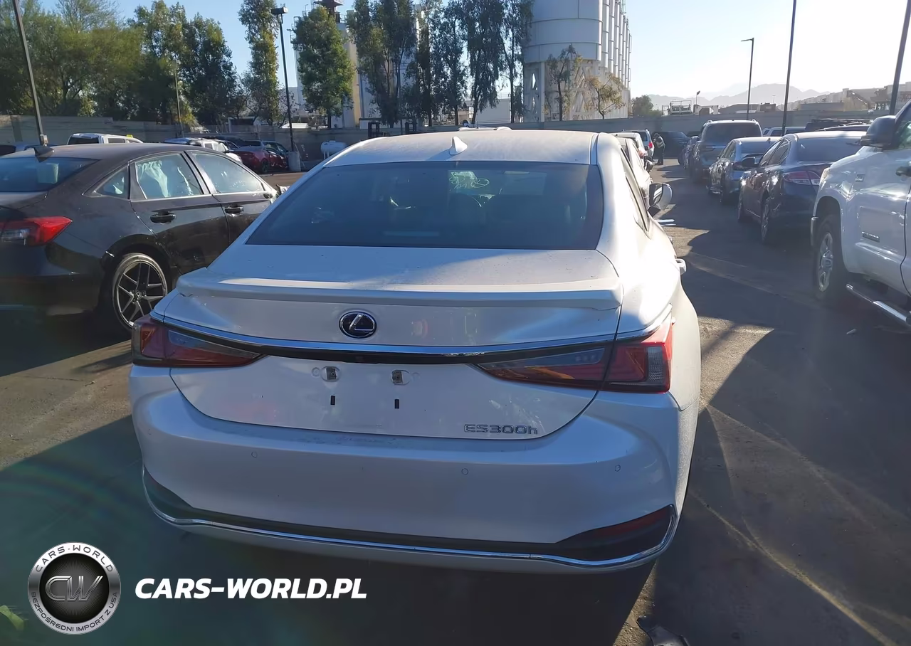 2020 Lexus Es 300H Luxury VIN:58AE21B12LU010655 - 17