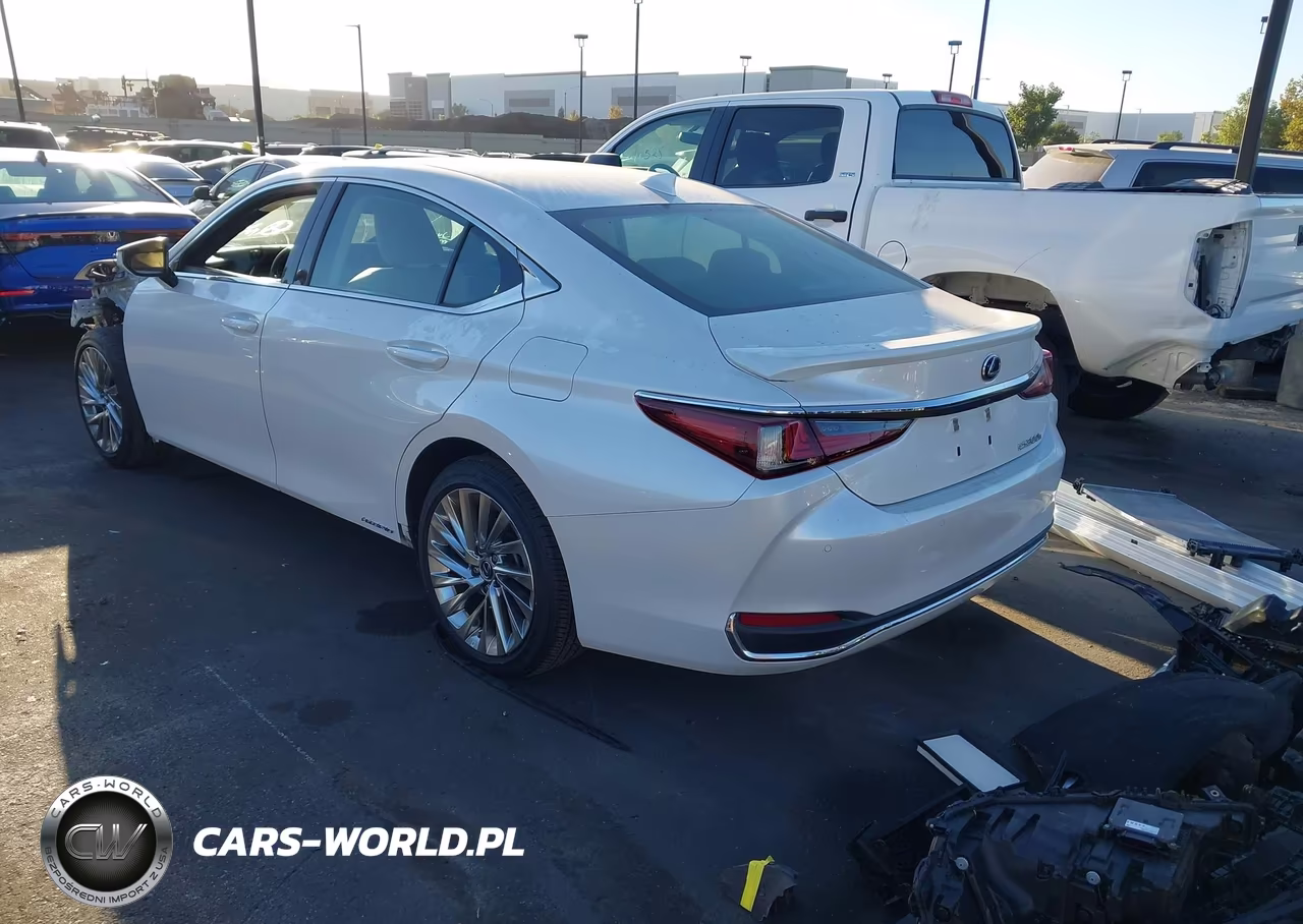 2020 Lexus Es 300H Luxury VIN:58AE21B12LU010655 - 3