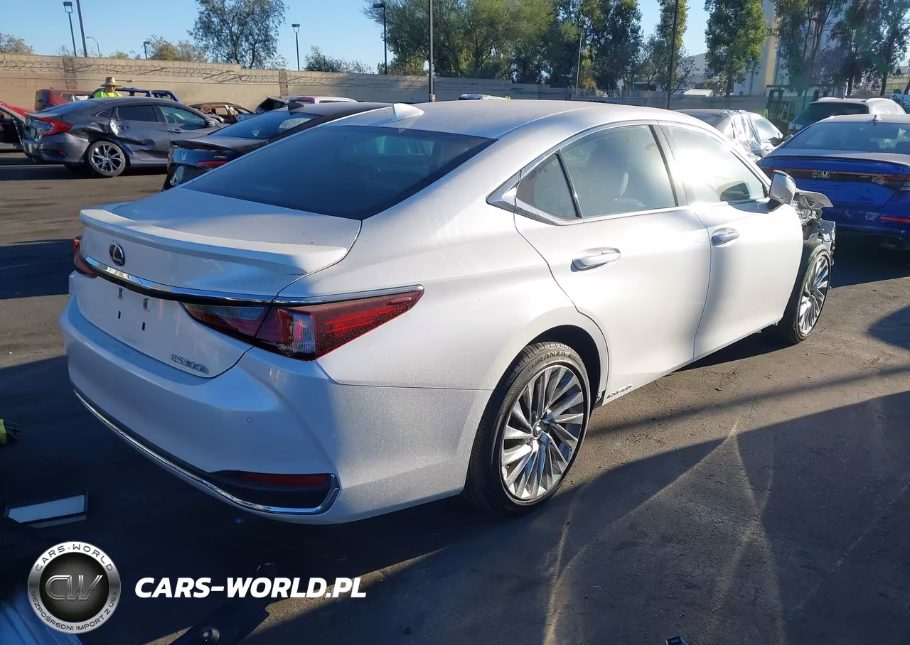 2020 Lexus Es 300H Luxury VIN:58AE21B12LU010655 - 4