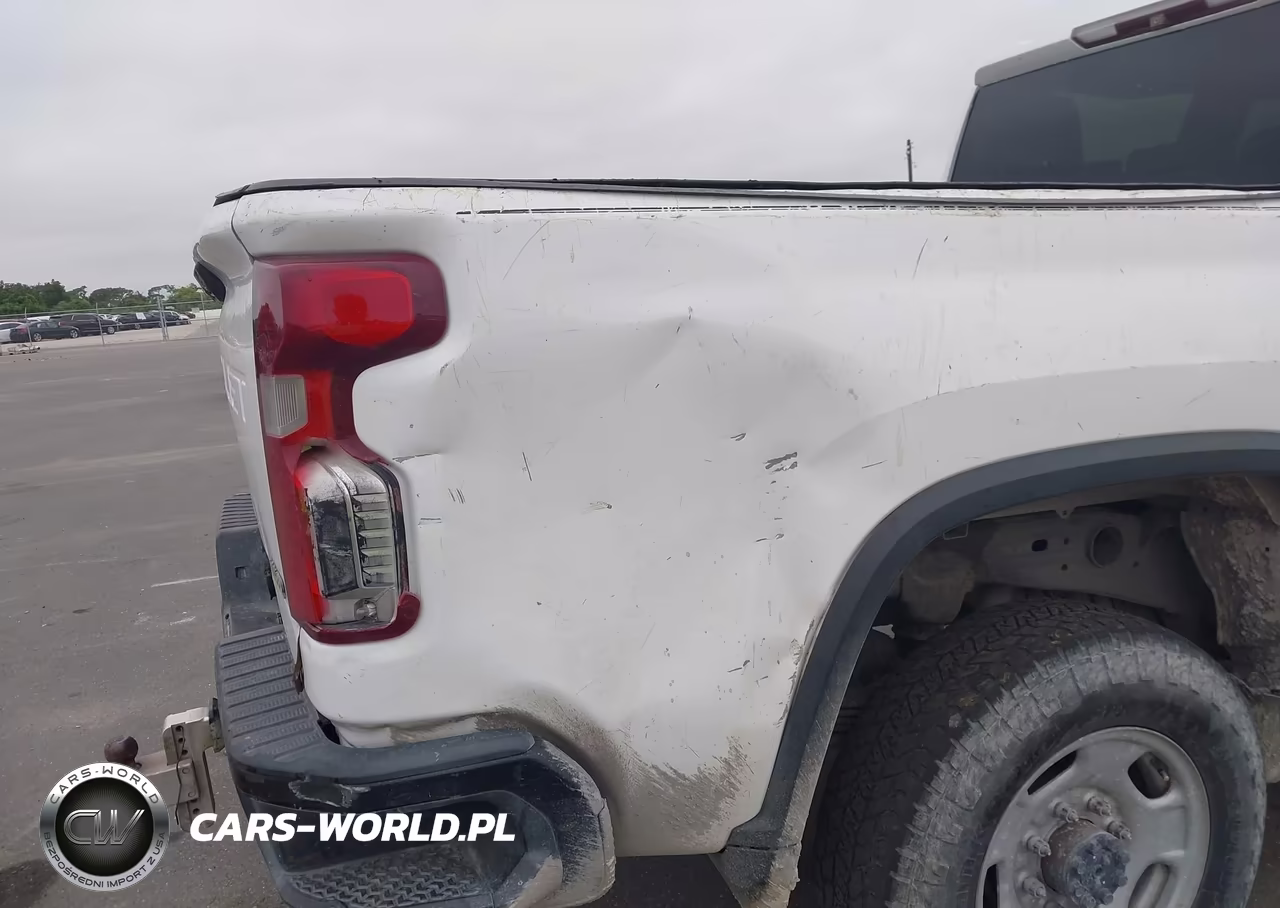 2020 Chevrolet Silverado 2500Hd 2Wd Standard Bed Wt VIN:1GC4WLE71LF102318 - 11