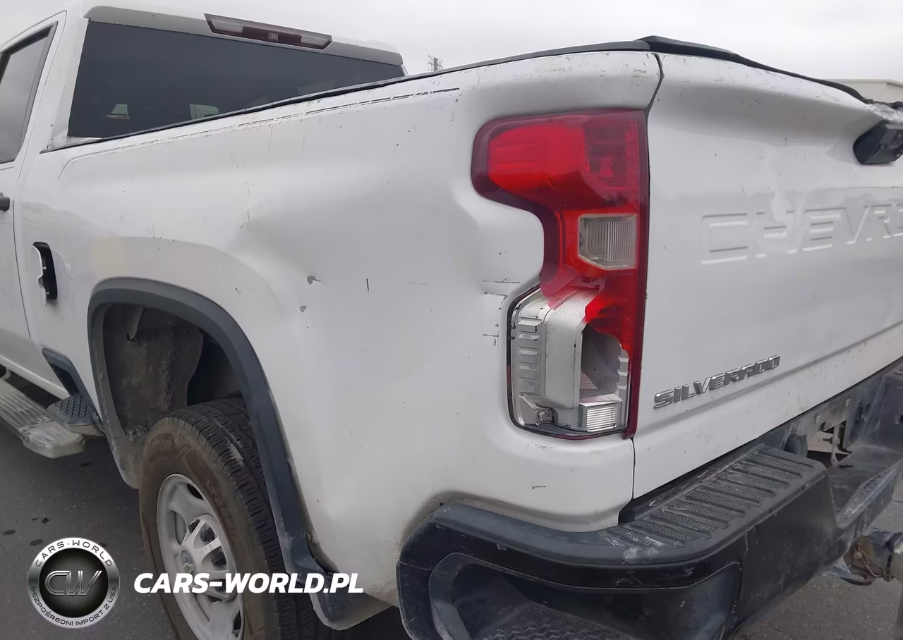 2020 Chevrolet Silverado 2500Hd 2Wd Standard Bed Wt VIN:1GC4WLE71LF102318 - 17
