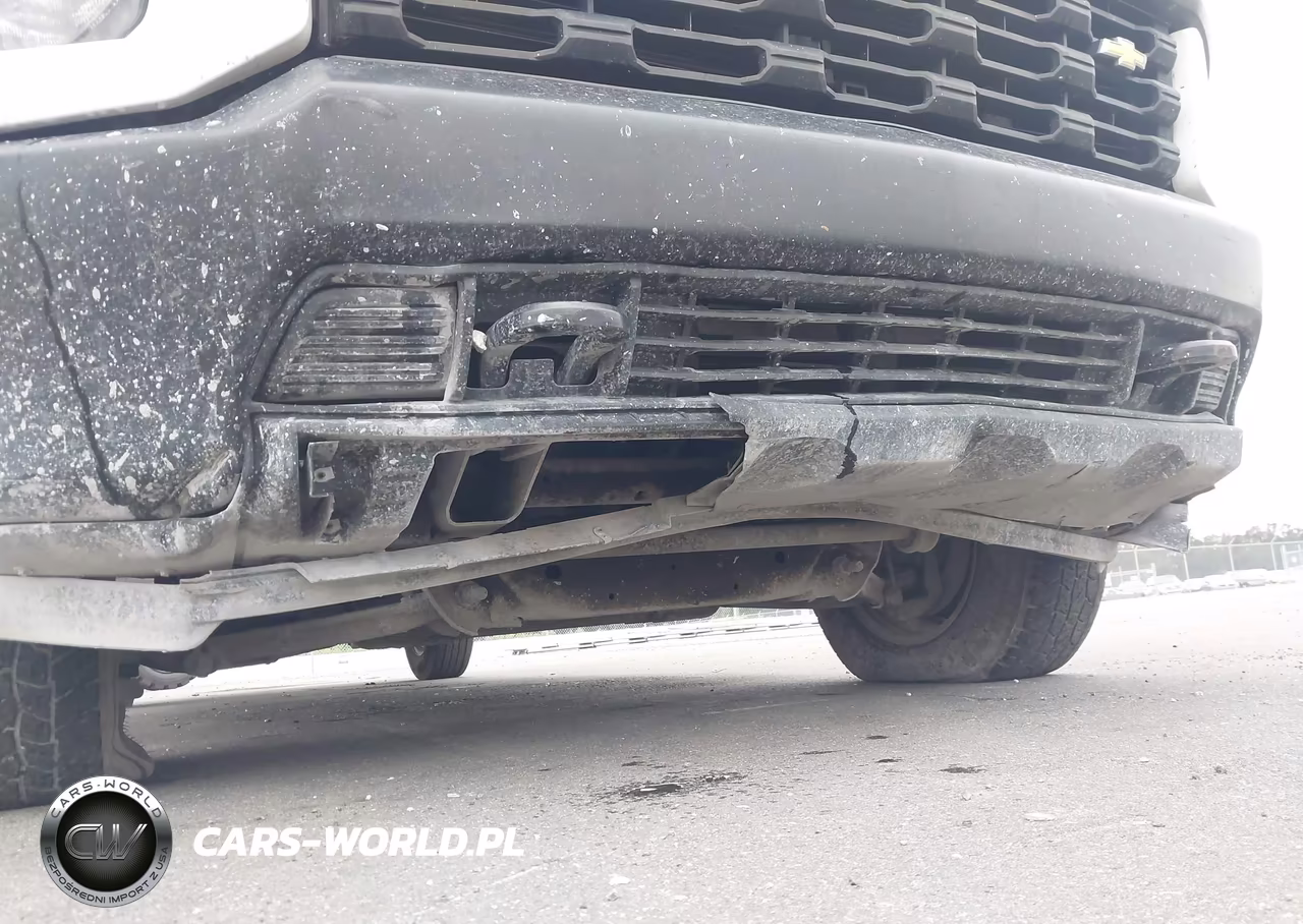 2020 Chevrolet Silverado 2500Hd 2Wd Standard Bed Wt VIN:1GC4WLE71LF102318 - 18