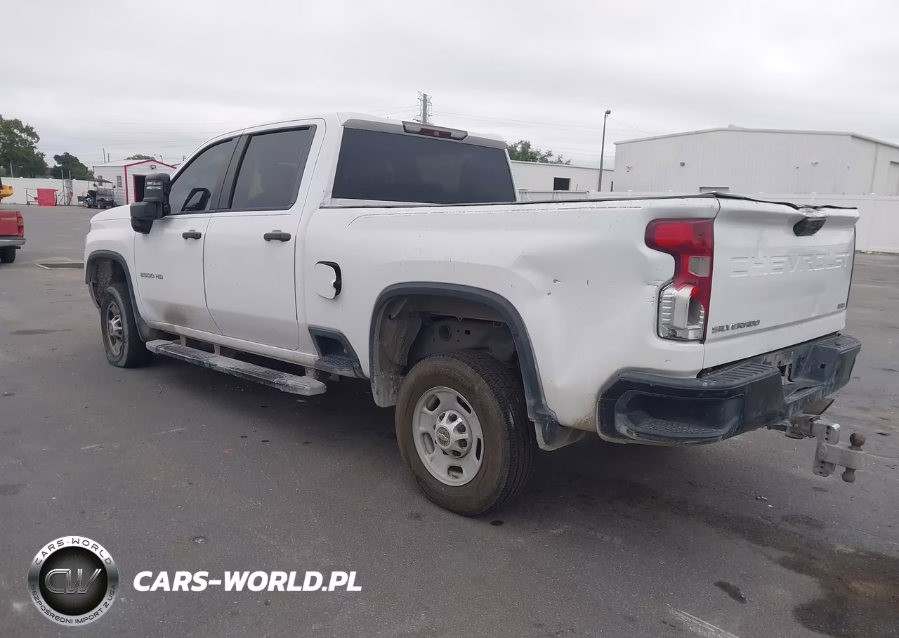 2020 Chevrolet Silverado 2500Hd 2Wd Standard Bed Wt VIN:1GC4WLE71LF102318 - 3