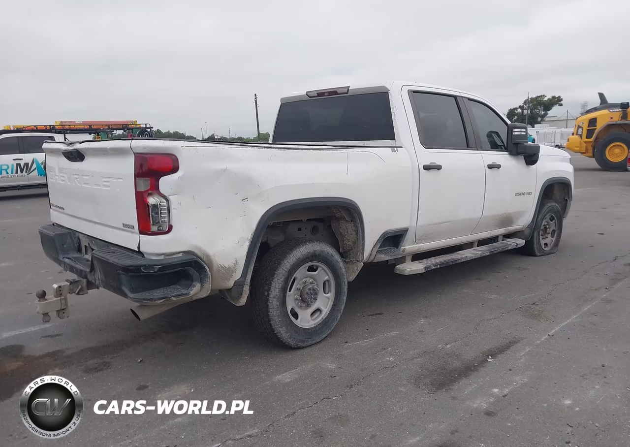 2020 Chevrolet Silverado 2500Hd 2Wd Standard Bed Wt VIN:1GC4WLE71LF102318 - 4
