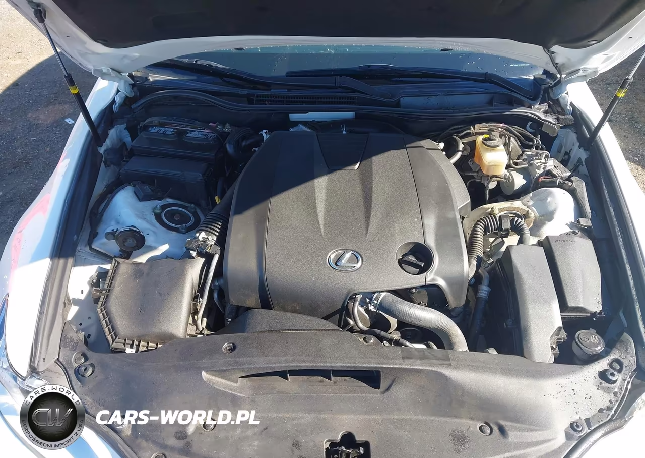 2014 Lexus Is 250 VIN:JTHBF1D27E5034454 - 10