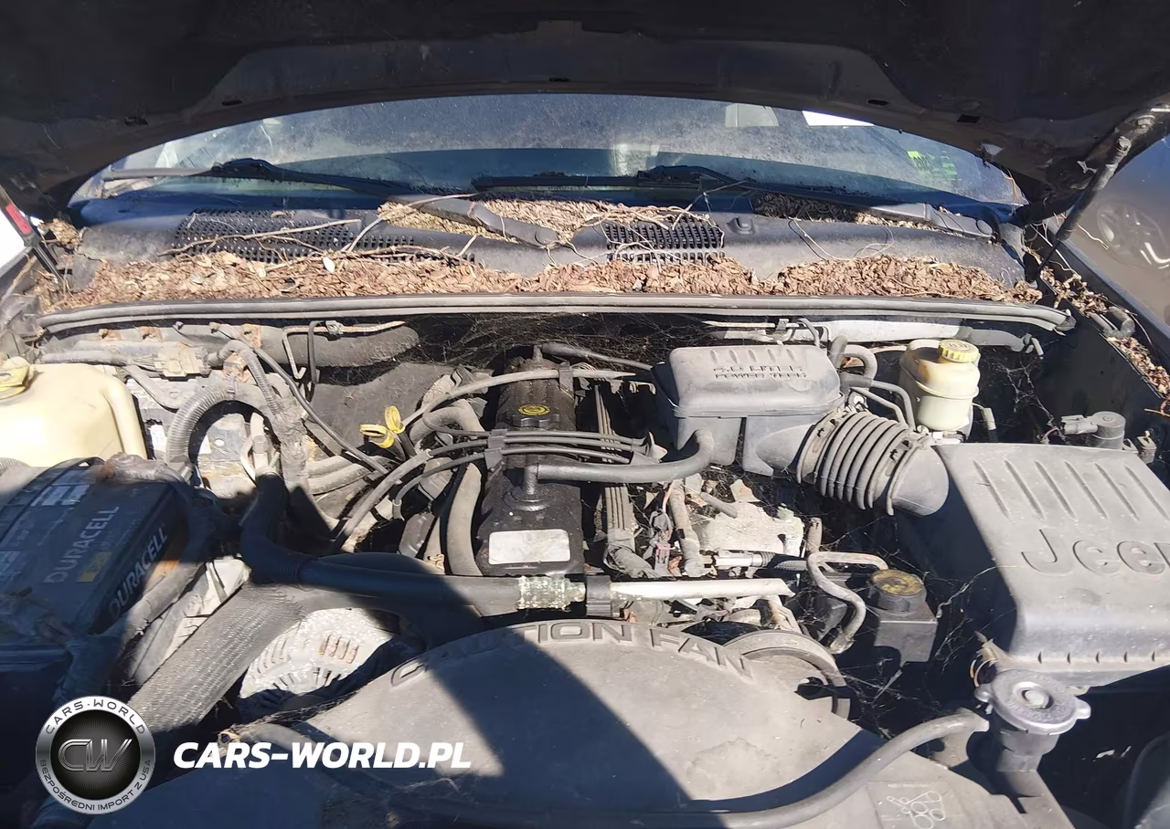 2004 Jeep Grand Cherokee Laredo VIN:1J4GW48S14C245592 - 10