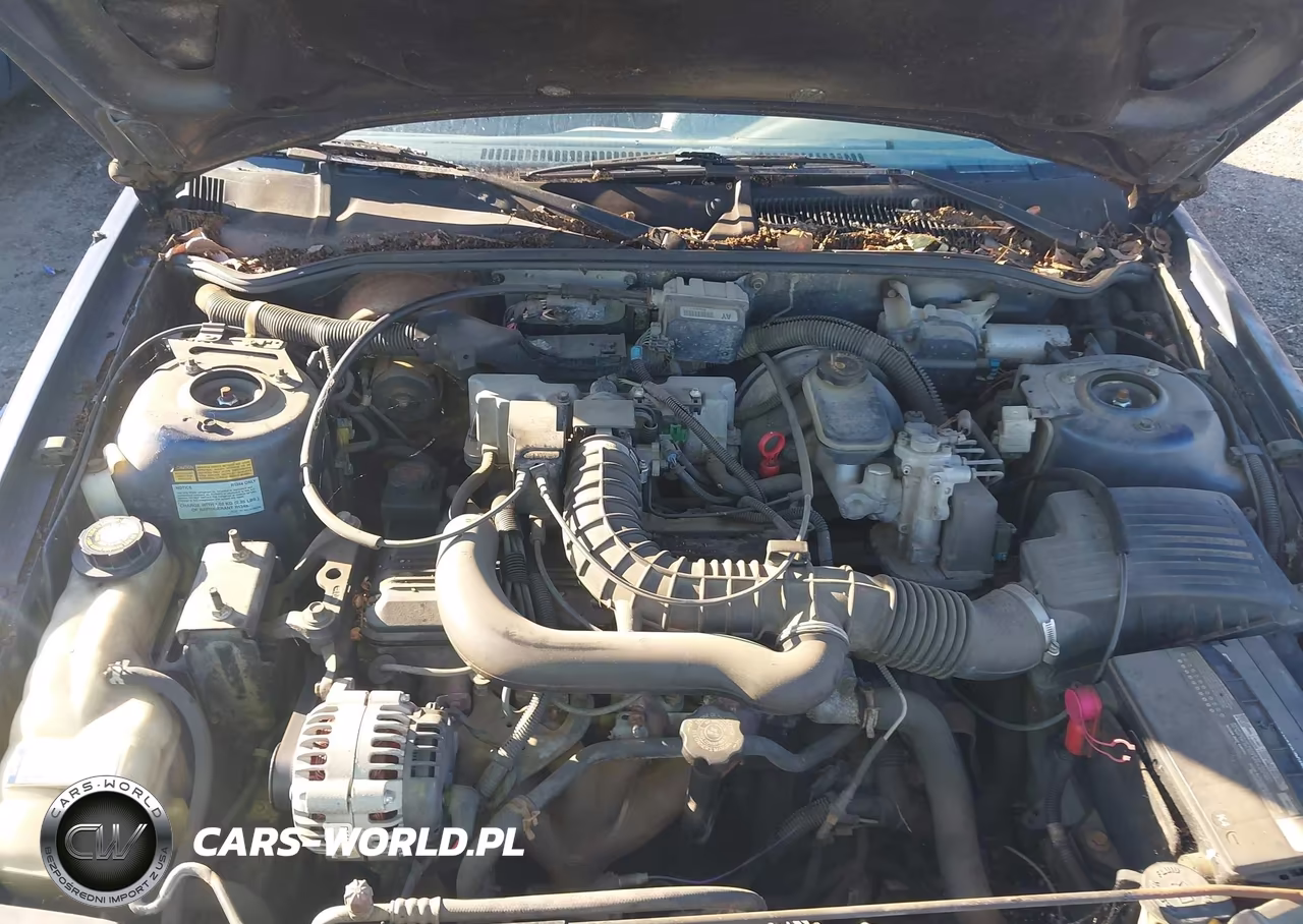1996 Chevrolet Corsica VIN:1G1LD5540TY102486 - 10