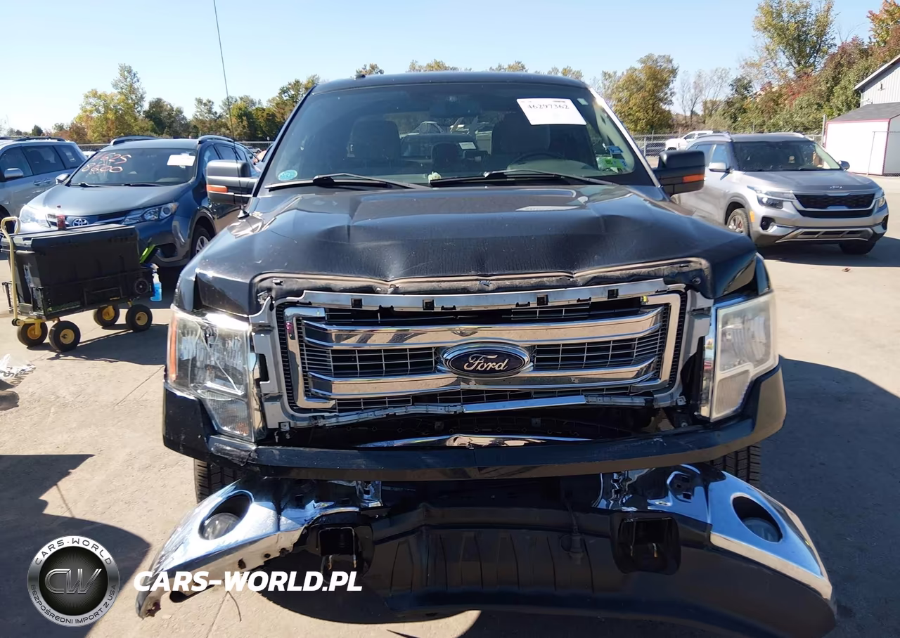 2013 Ford F-150 Xlt VIN:1FTFX1EF0DFD14260 - 12