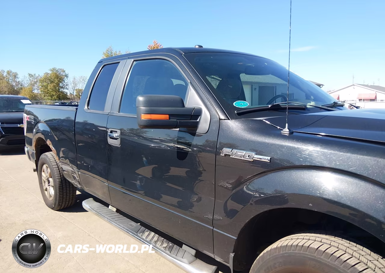 2013 Ford F-150 Xlt VIN:1FTFX1EF0DFD14260 - 13