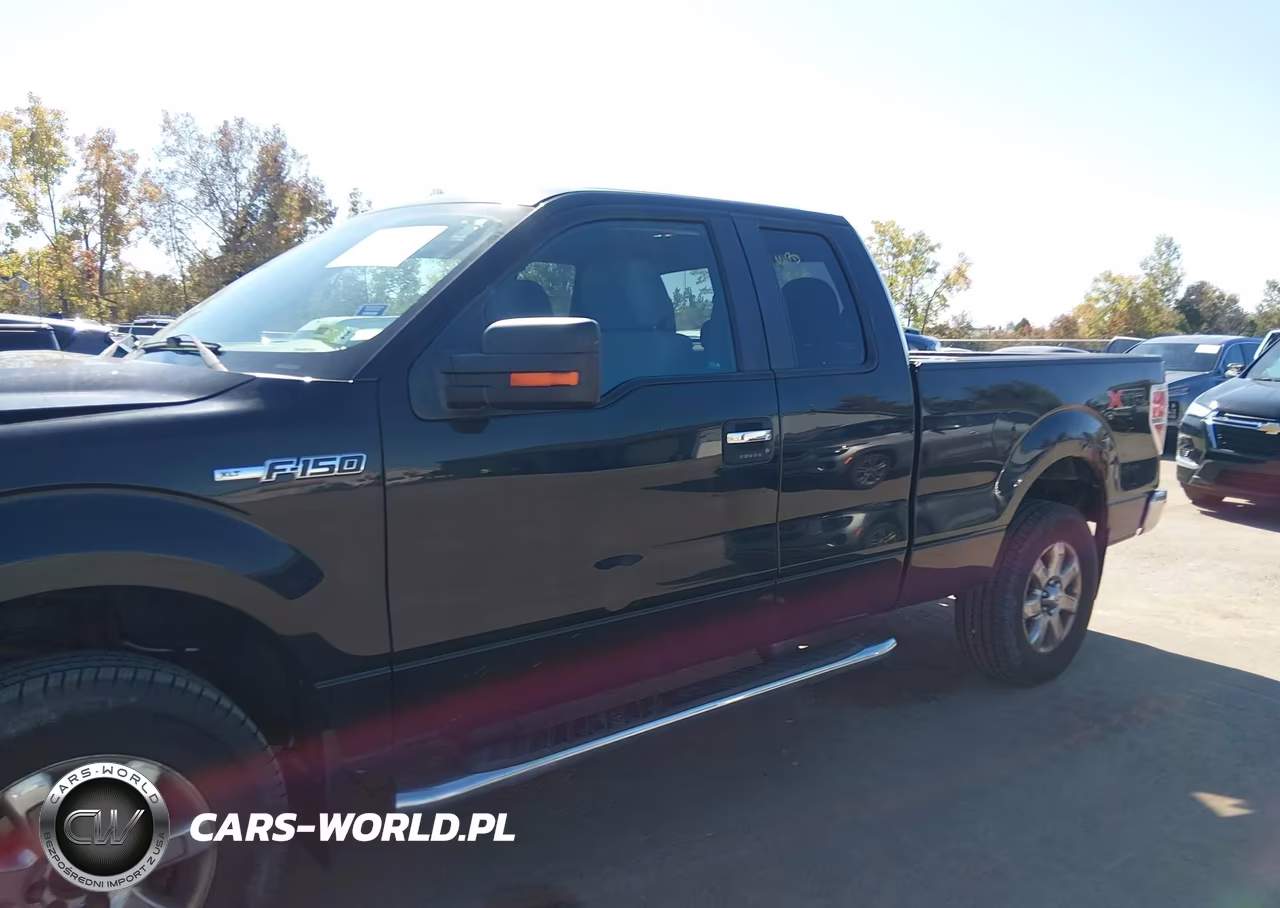 2013 Ford F-150 Xlt VIN:1FTFX1EF0DFD14260 - 14