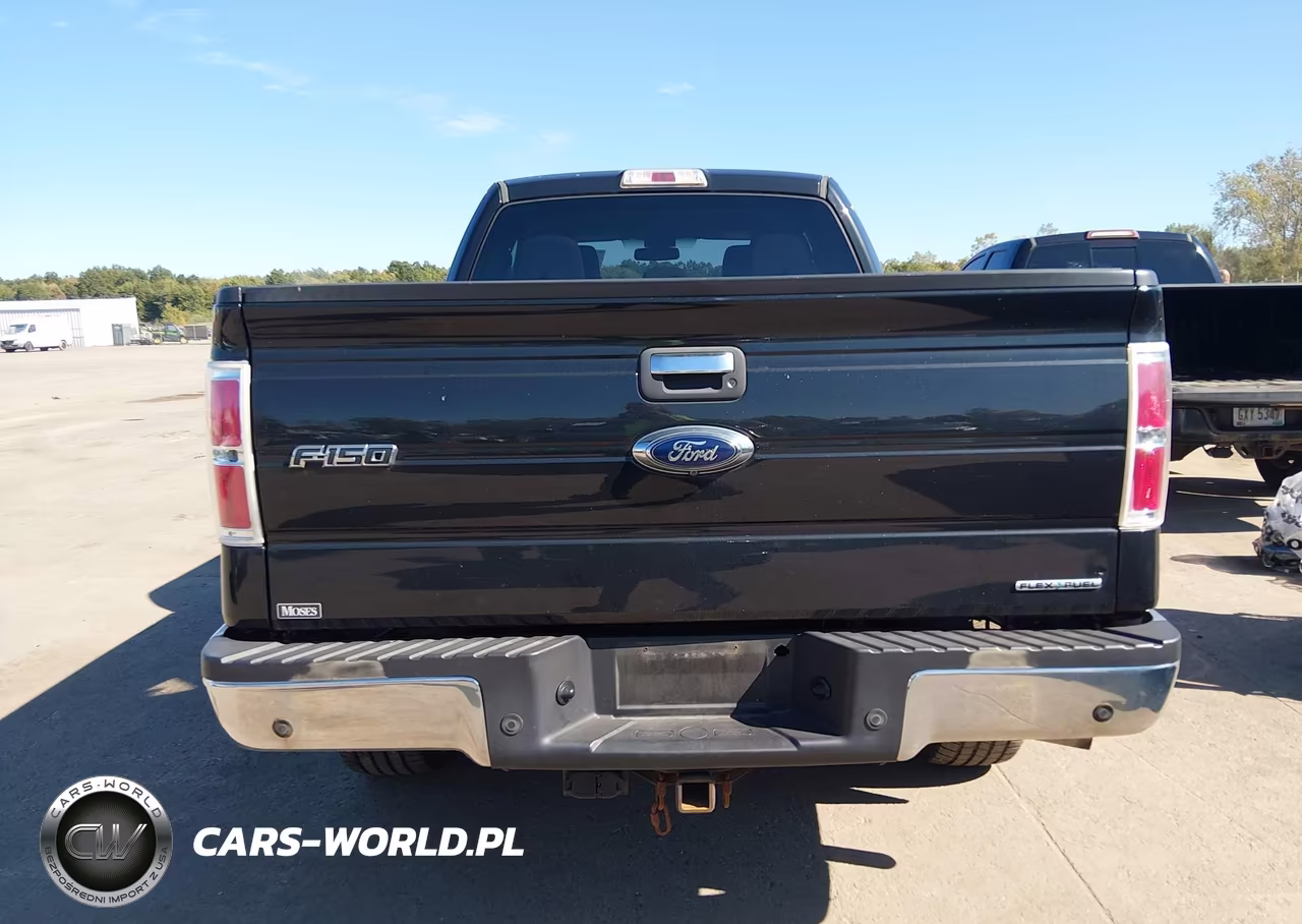 2013 Ford F-150 Xlt VIN:1FTFX1EF0DFD14260 - 16