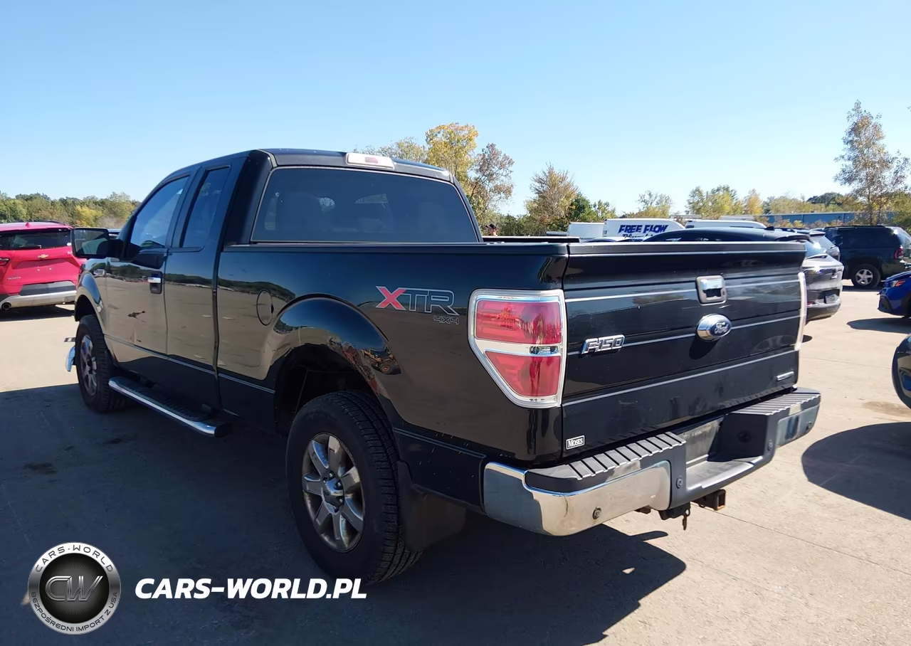2013 Ford F-150 Xlt VIN:1FTFX1EF0DFD14260 - 3