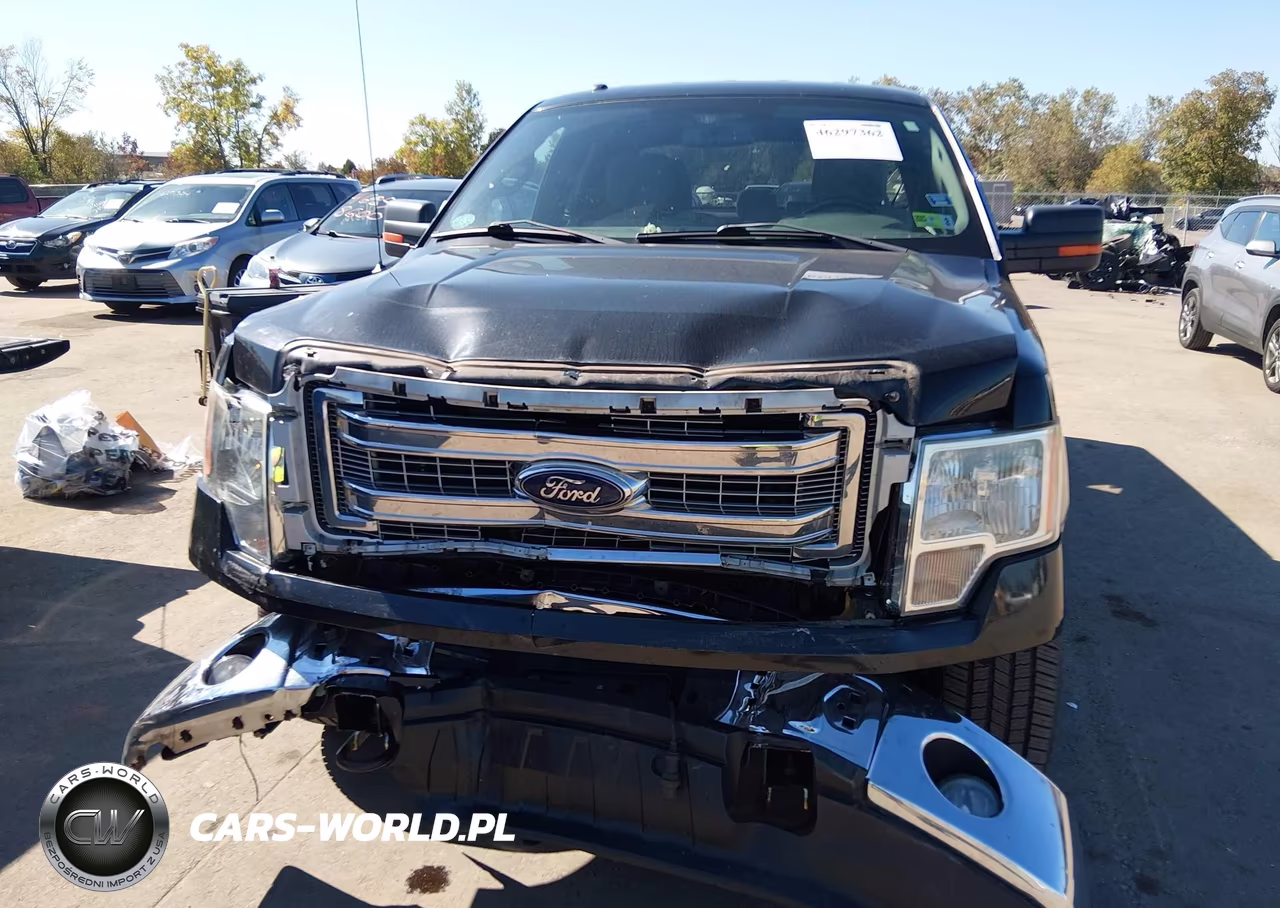 2013 Ford F-150 Xlt VIN:1FTFX1EF0DFD14260 - 6