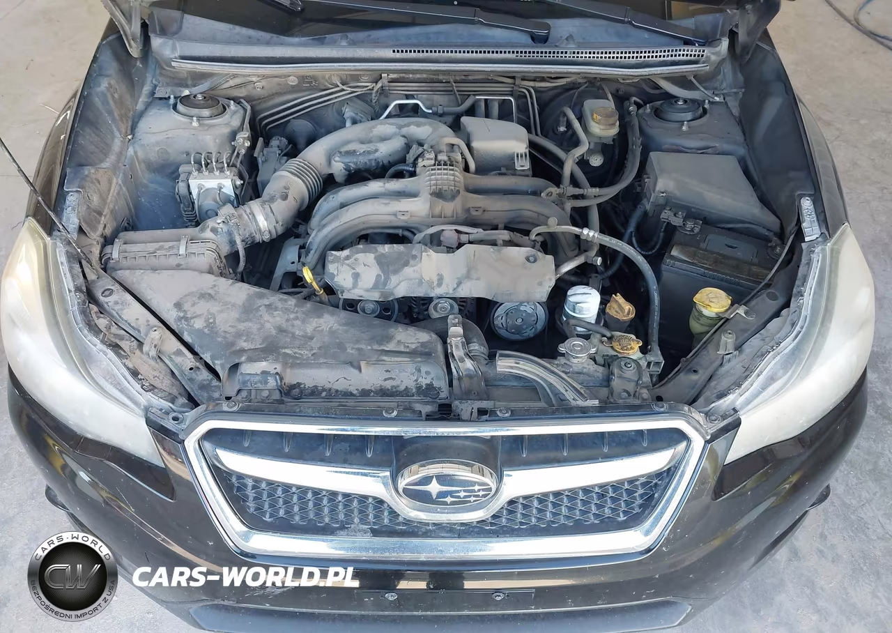 2013 Subaru Xv Crosstrek 2.0I Limited VIN:JF2GPAGC0DH843527 - 10