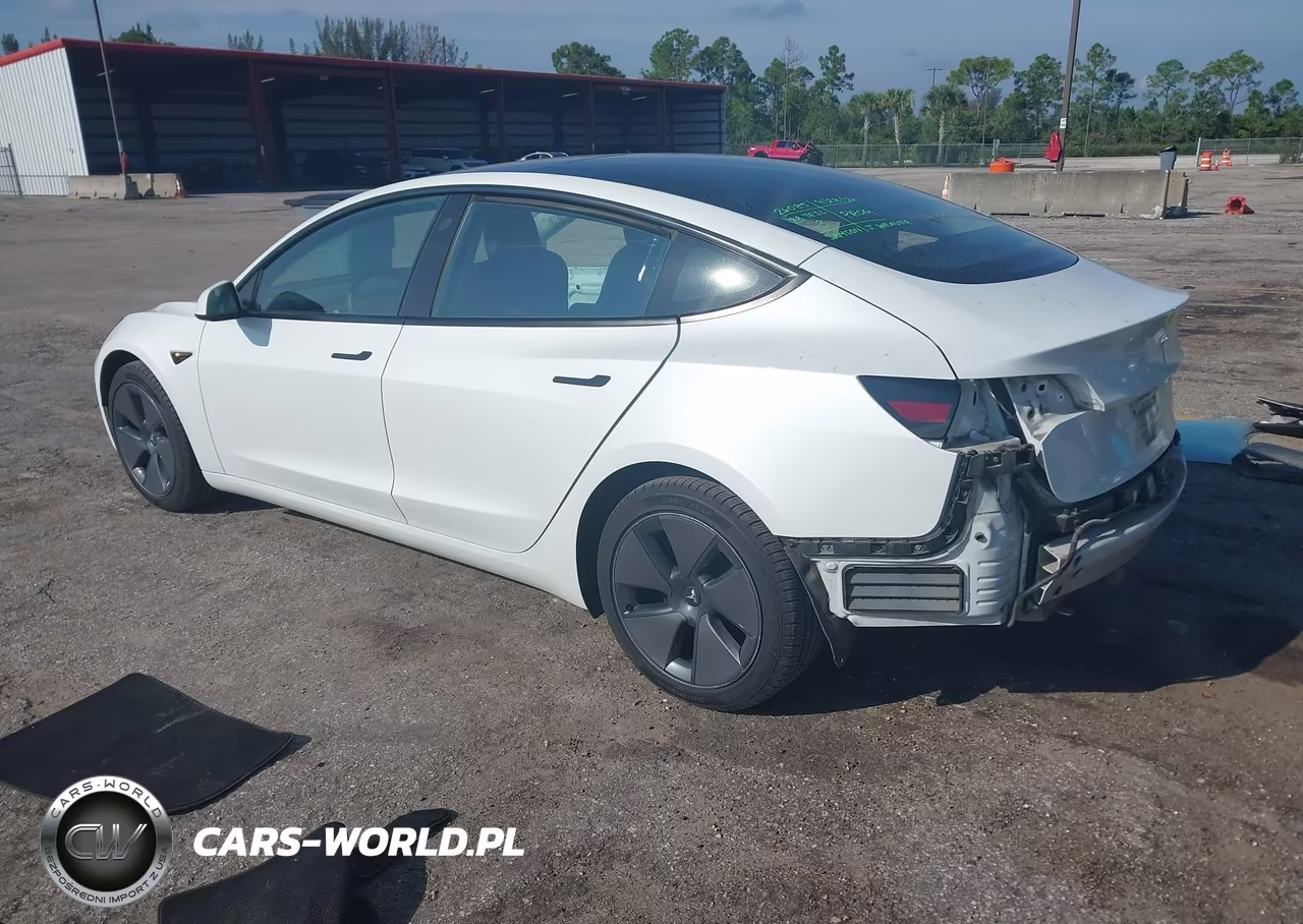 2023 Tesla Model 3 Rear-Wheel Drive VIN:5YJ3E1EA7PF493578 - 3