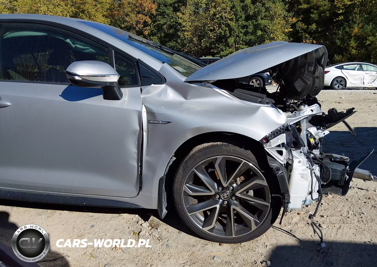 2020 Toyota Corolla Se VIN:JTDS4RCE6LJ027288 - 19