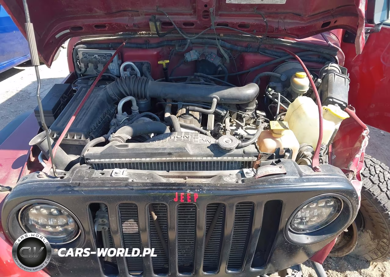 1999 Jeep Wrangler Sport VIN:1J4FY19S9XP447922 - 10
