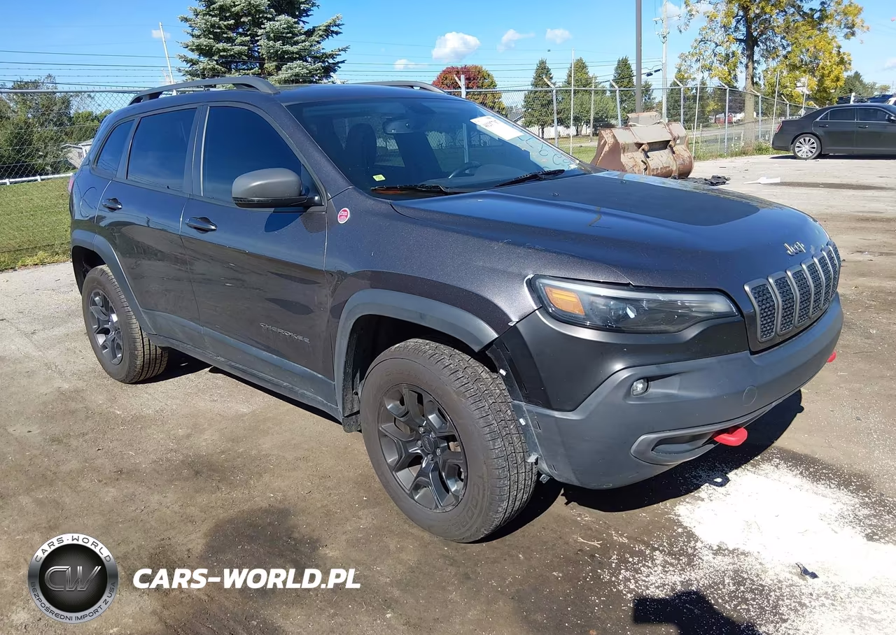 2019 Jeep Cherokee Trailhawk 4X4 VIN:1C4PJMBN8KD261643 - 1