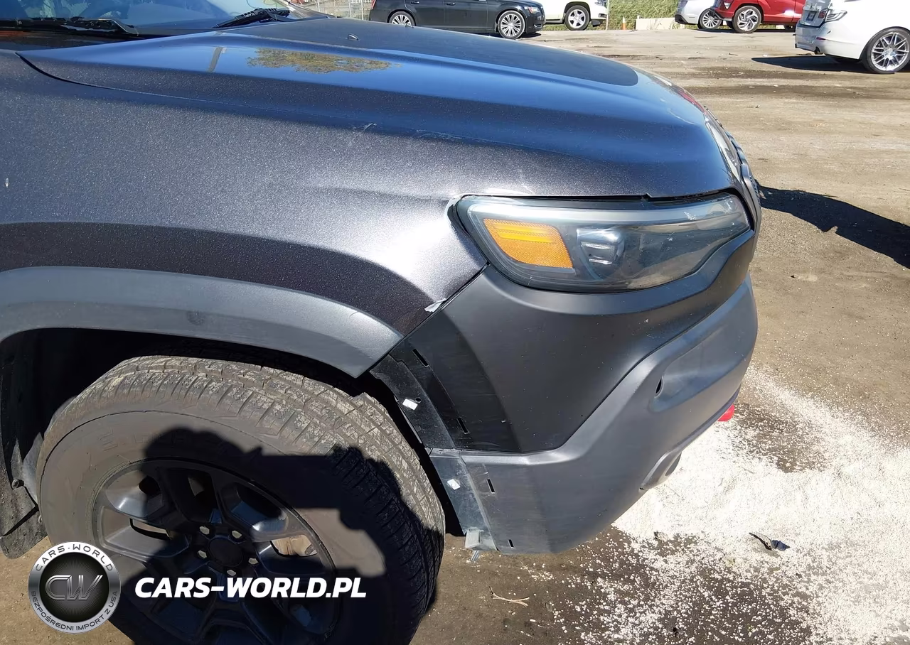 2019 Jeep Cherokee Trailhawk 4X4 VIN:1C4PJMBN8KD261643 - 6