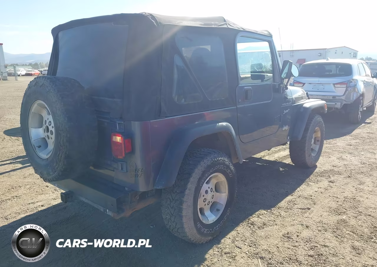 2002 Jeep Wrangler Sport VIN:1J4FA49S82P709248 - 4