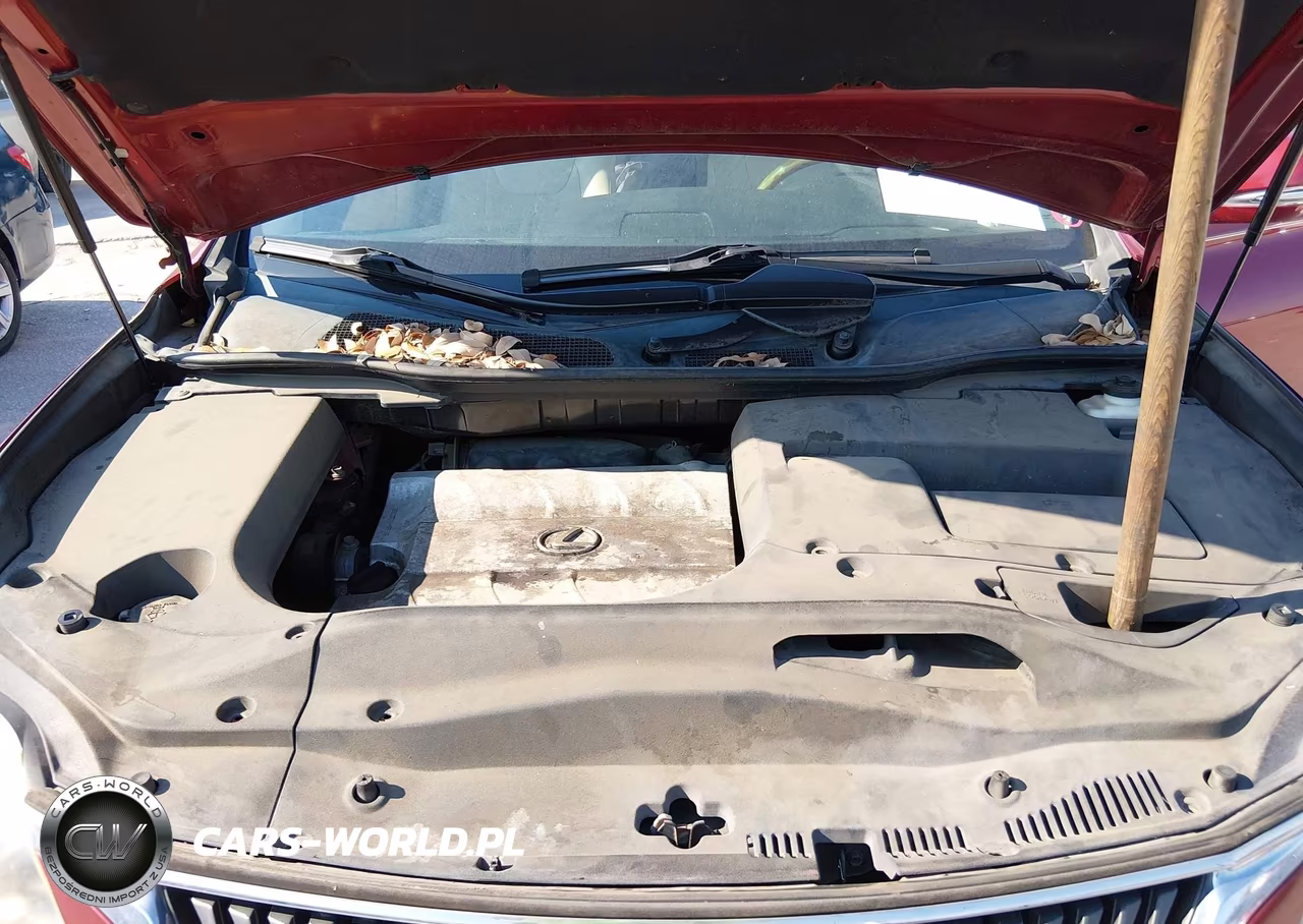 2011 Lexus Rx 350 VIN:2T2ZK1BA2BC054059 - 10