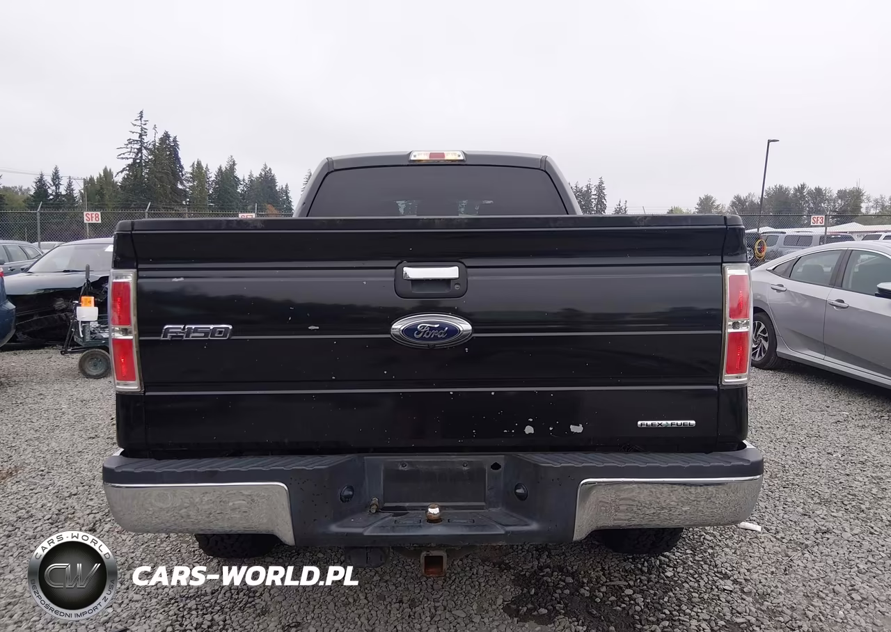 2012 Ford F-150 Xlt VIN:1FTFW1EF4CFC84617 - 17