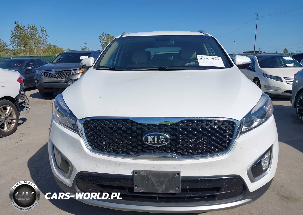 2016 Kia Sorento 2.0T Ex VIN:5XYPH4A11GG040887 - 12