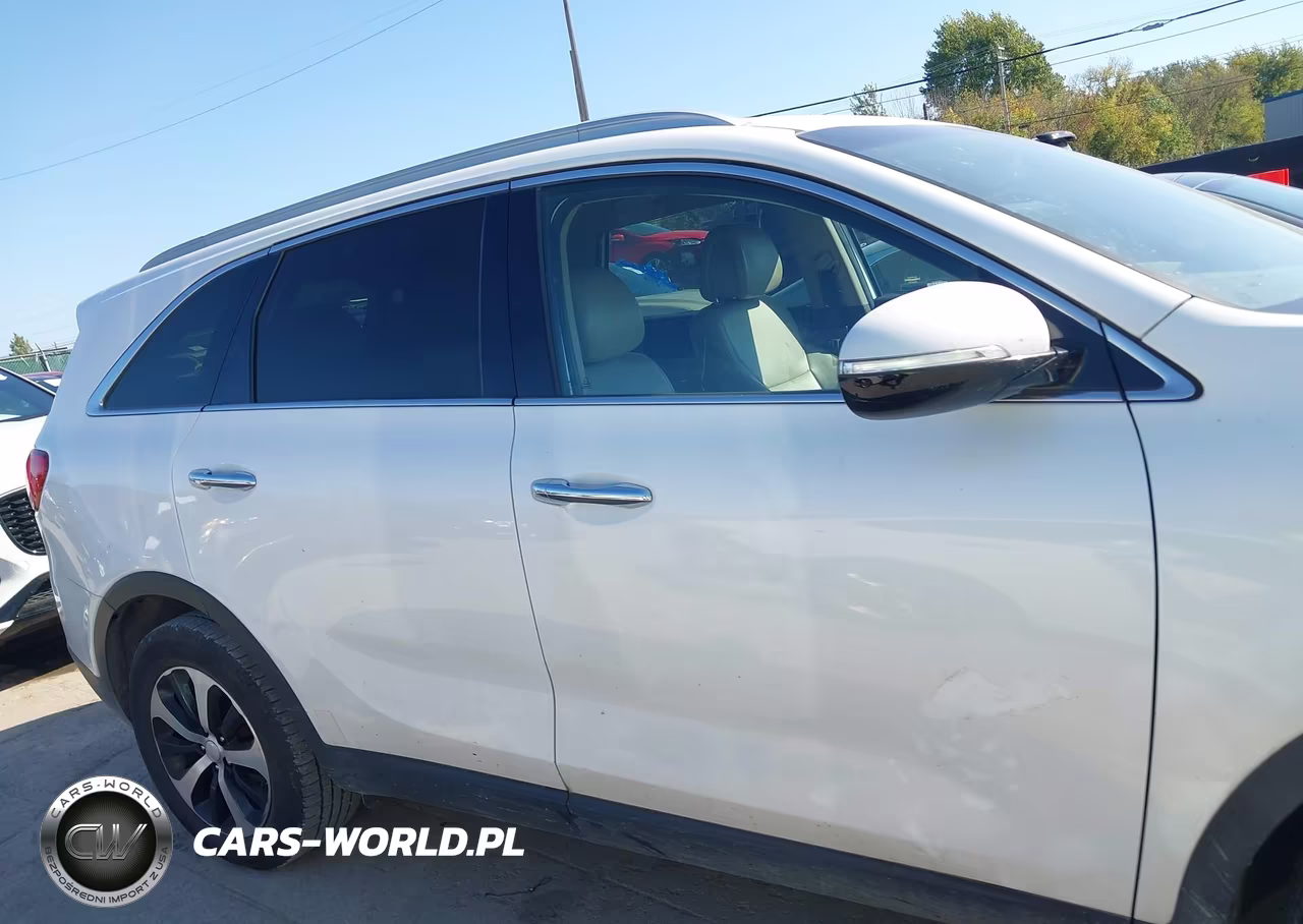 2016 Kia Sorento 2.0T Ex VIN:5XYPH4A11GG040887 - 13