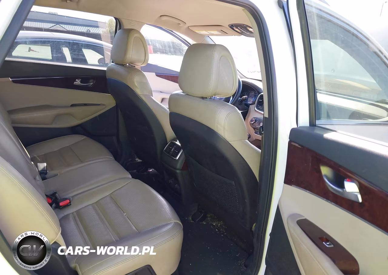 2016 Kia Sorento 2.0T Ex VIN:5XYPH4A11GG040887 - 8