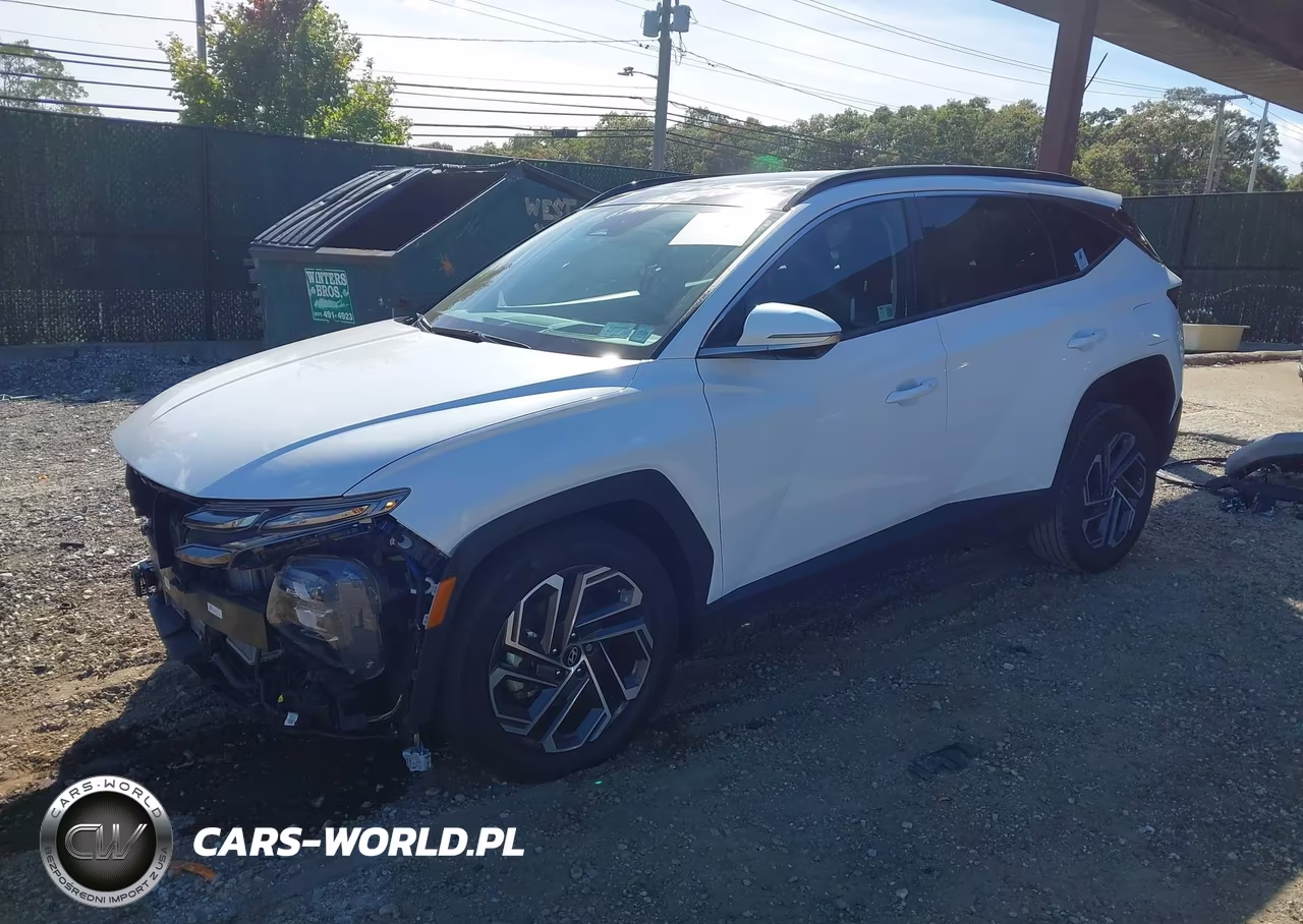 2025 Hyundai Tucson Hybrid Limited VIN:KM8JEDD15SU250065 - 2