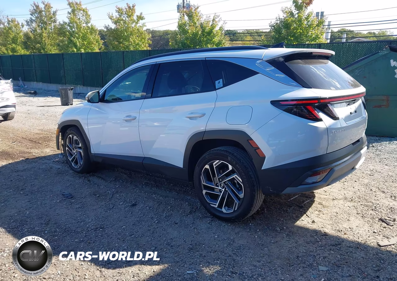 2025 Hyundai Tucson Hybrid Limited VIN:KM8JEDD15SU250065 - 3