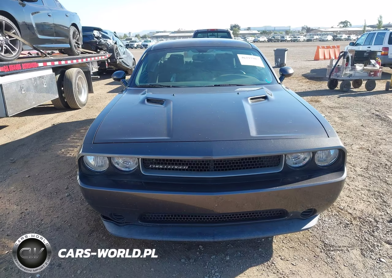 2014 Dodge Challenger Sxt VIN:2C3CDYAG9EH278799 - 12