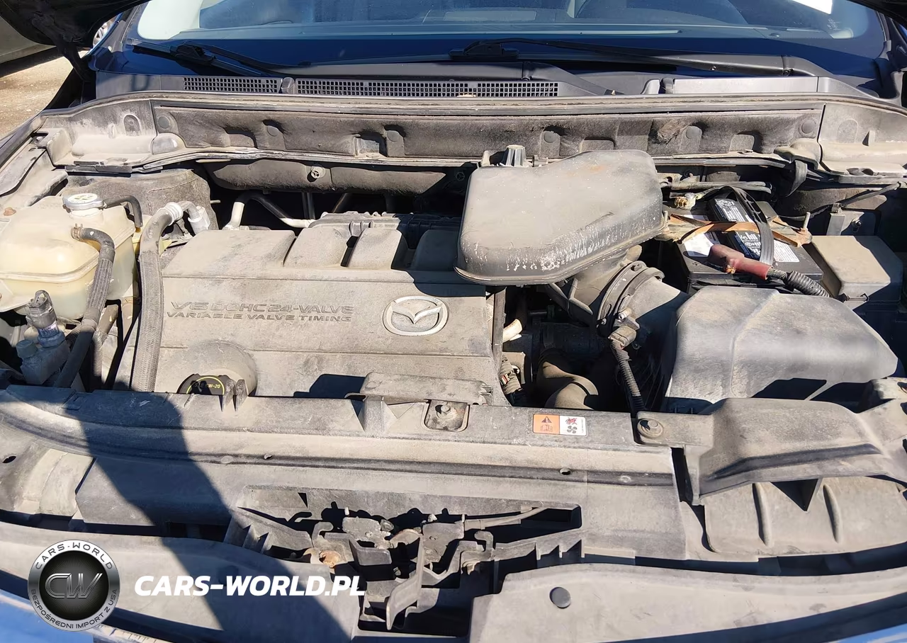 2010 Mazda Cx-9 VIN:JM3TB3MA5A0216723 - 10