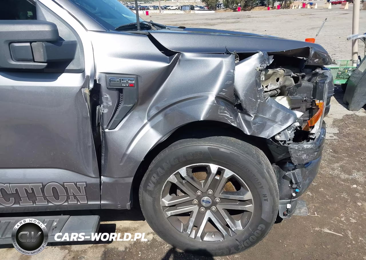 2021 Ford F-150 Xl VIN:1FTEW1CP1MFD09174 - 17