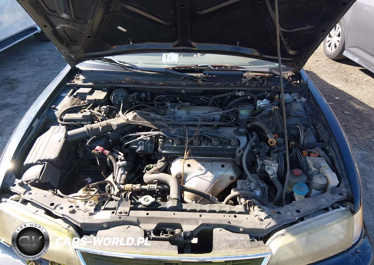 1997 Honda Accord Ex VIN:1HGCD7259VA033942 - 10