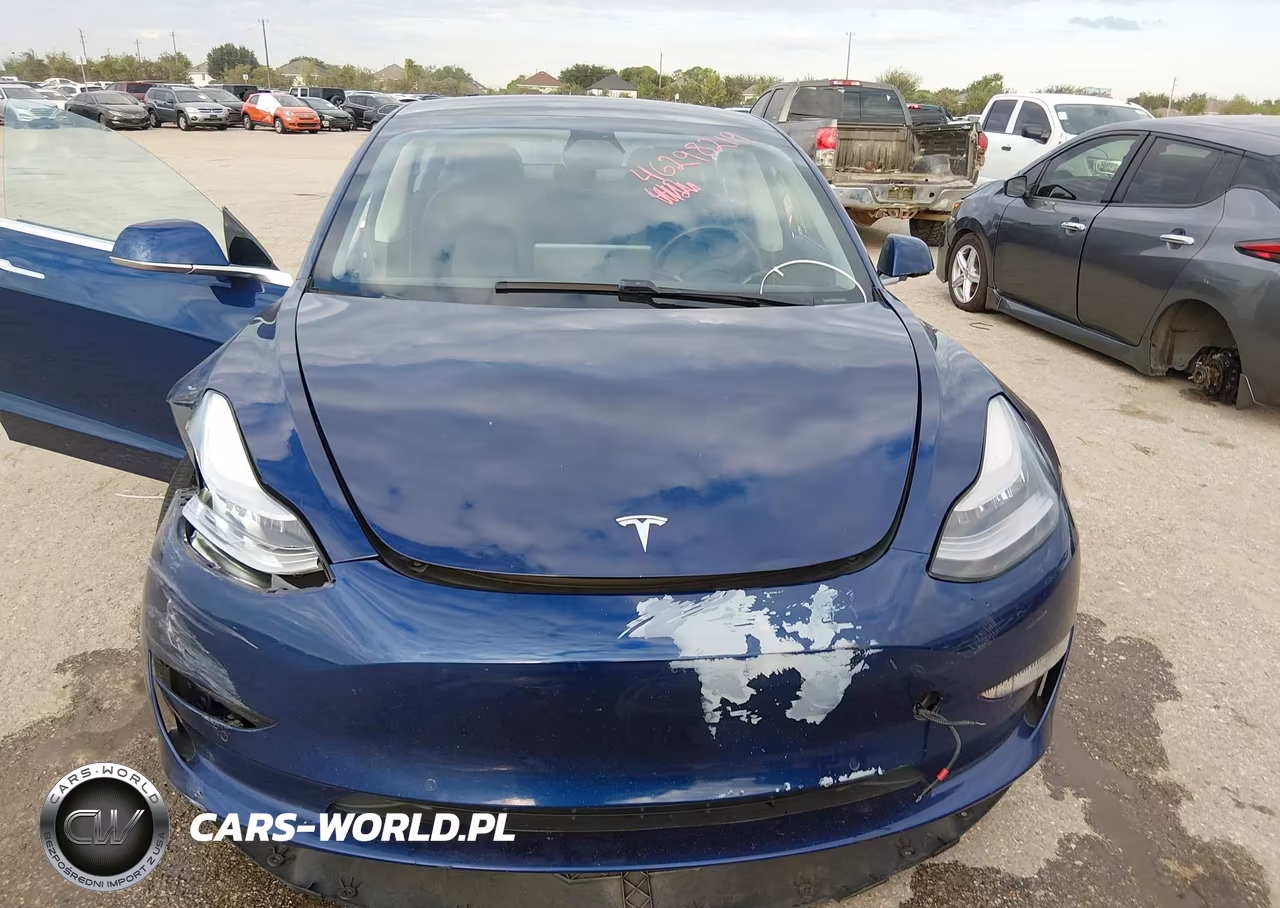 2019 Tesla Model 3 Long Range-Mid Range-Standard Range-Standard Range Plus VIN:5YJ3E1EA5KF427099 - 11