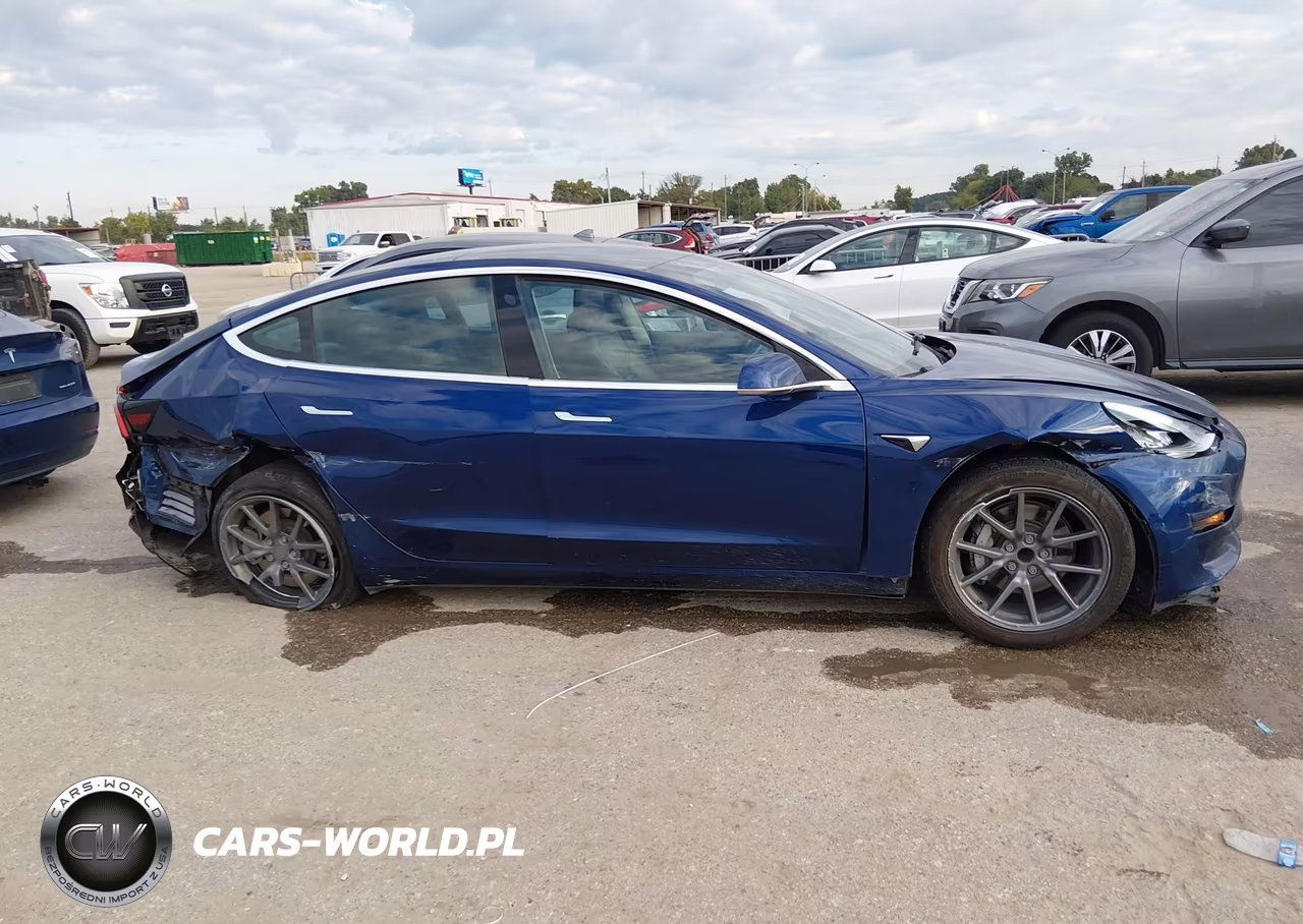 2019 Tesla Model 3 Long Range-Mid Range-Standard Range-Standard Range Plus VIN:5YJ3E1EA5KF427099 - 12