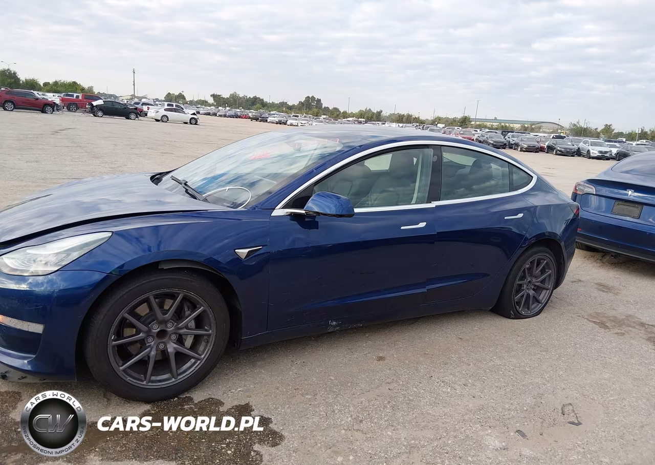 2019 Tesla Model 3 Long Range-Mid Range-Standard Range-Standard Range Plus VIN:5YJ3E1EA5KF427099 - 13