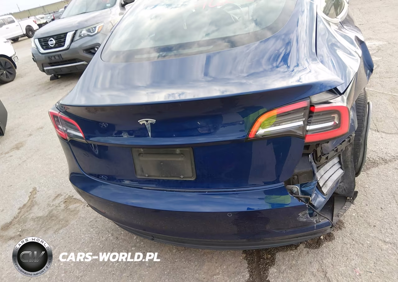 2019 Tesla Model 3 Long Range-Mid Range-Standard Range-Standard Range Plus VIN:5YJ3E1EA5KF427099 - 15