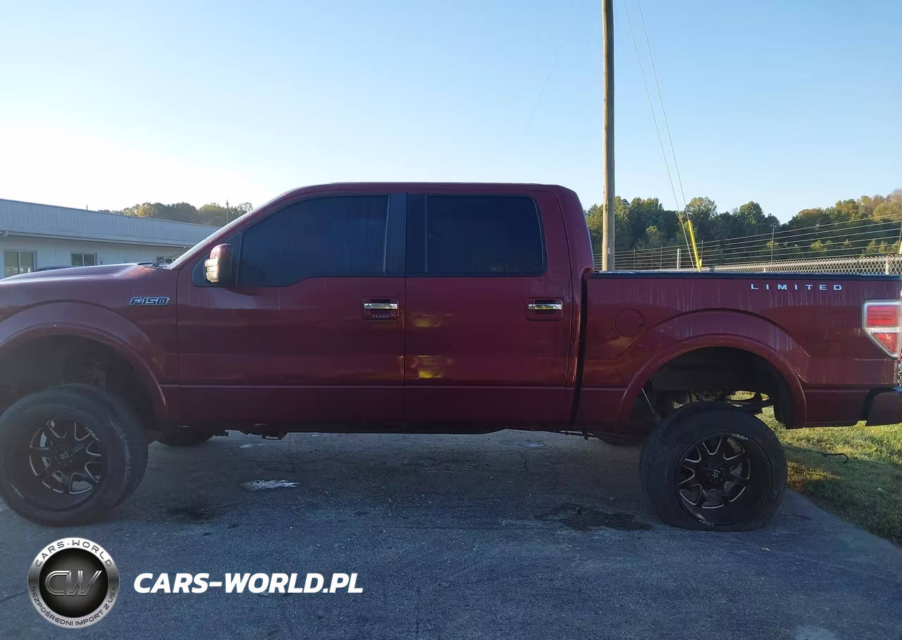 FORD F-150 VIN:1FTFW1ET2CKE30011 - 14