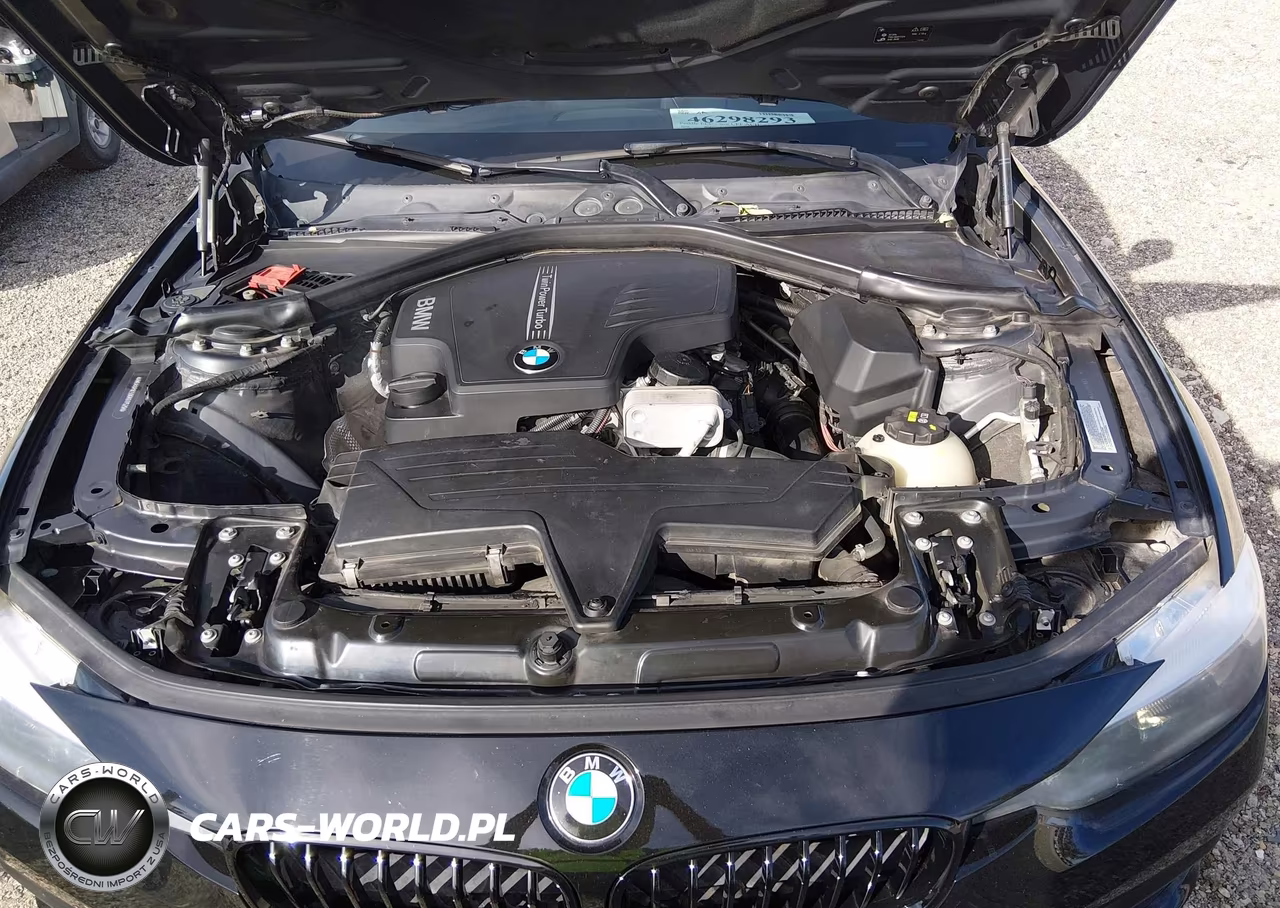 2016 BMW 320I VIN:WBA8A9C59GK617520 - 10