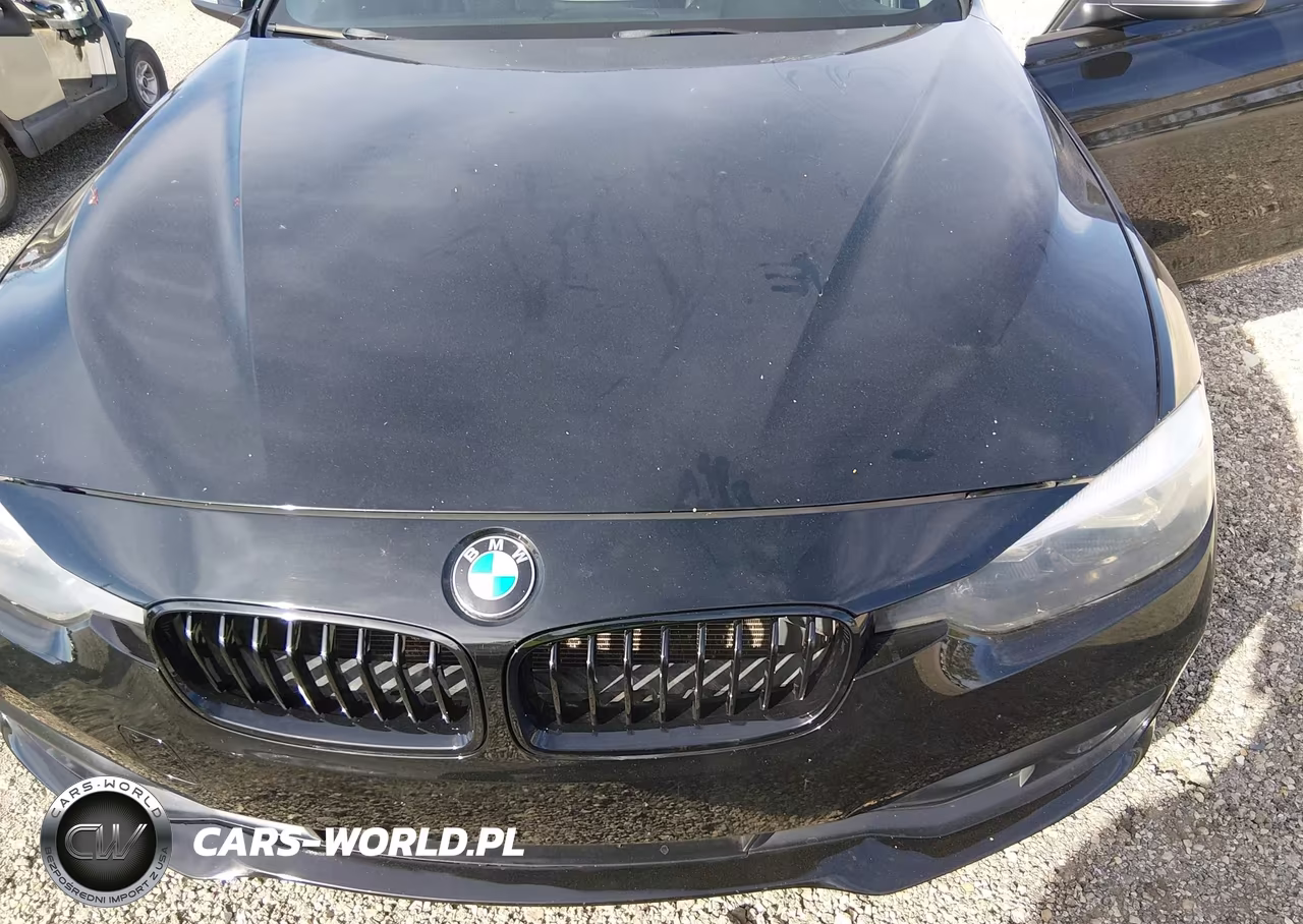 2016 BMW 320I VIN:WBA8A9C59GK617520 - 6