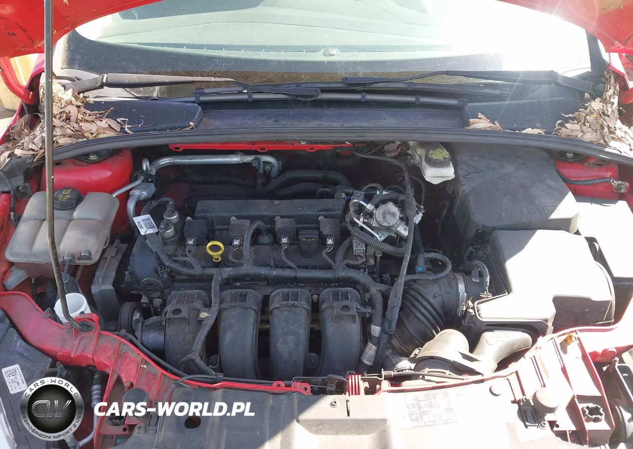 2017 Ford Focus Se VIN:1FADP3F20HL304341 - 10