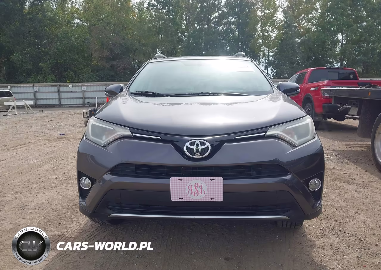 2016 Toyota Rav4 Xle VIN:2T3WFREV3GW268614 - 12