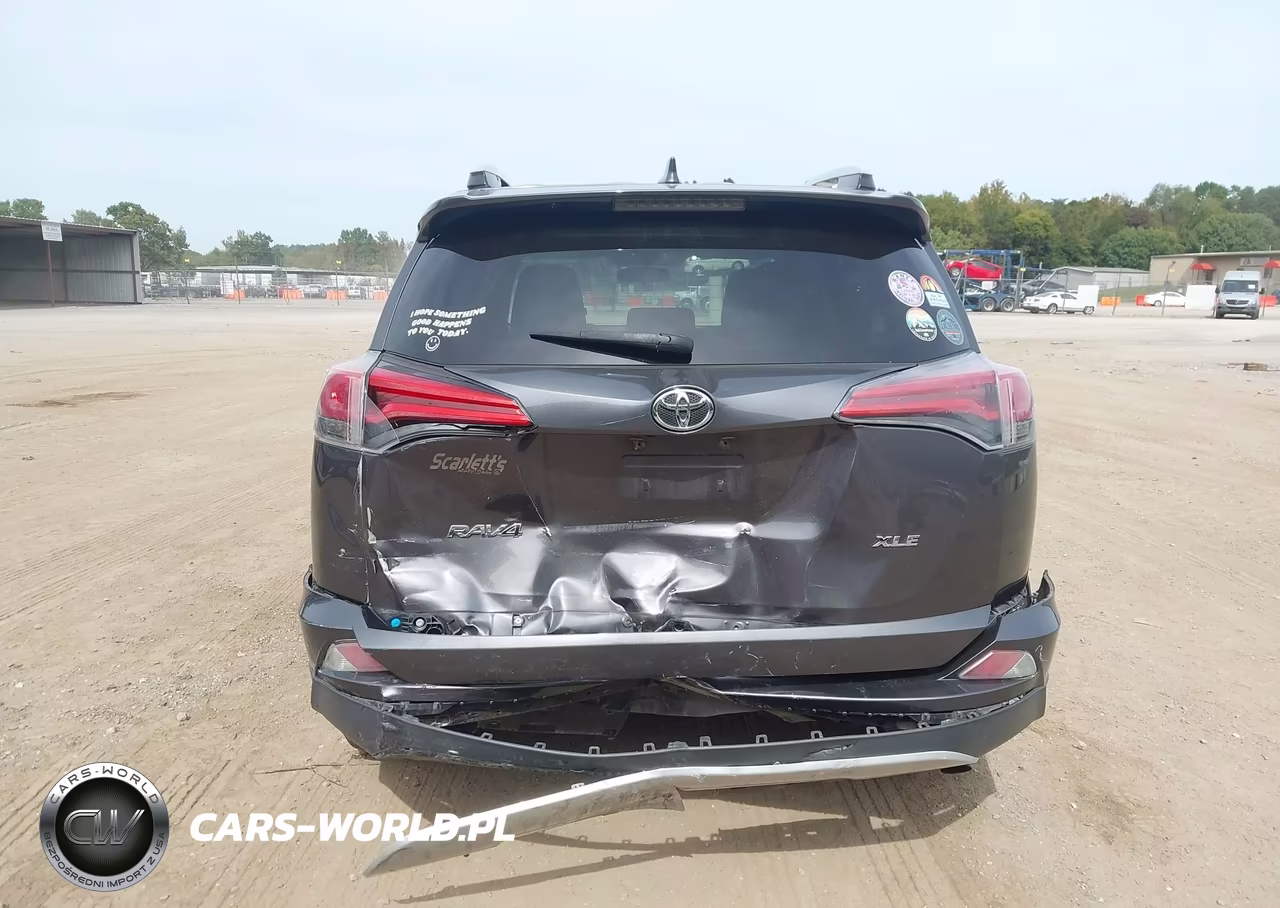 2016 Toyota Rav4 Xle VIN:2T3WFREV3GW268614 - 16