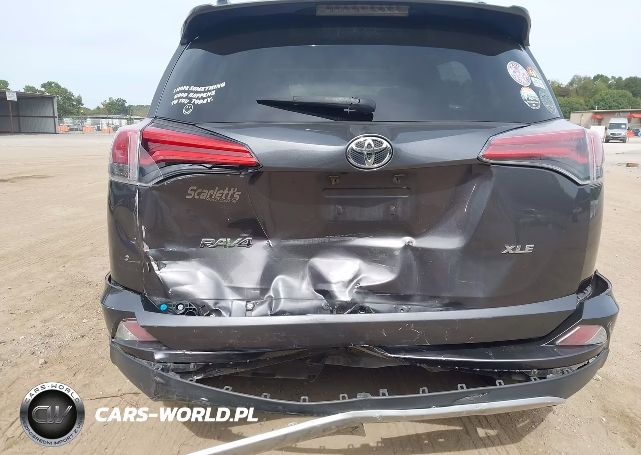 2016 Toyota Rav4 Xle VIN:2T3WFREV3GW268614 - 6