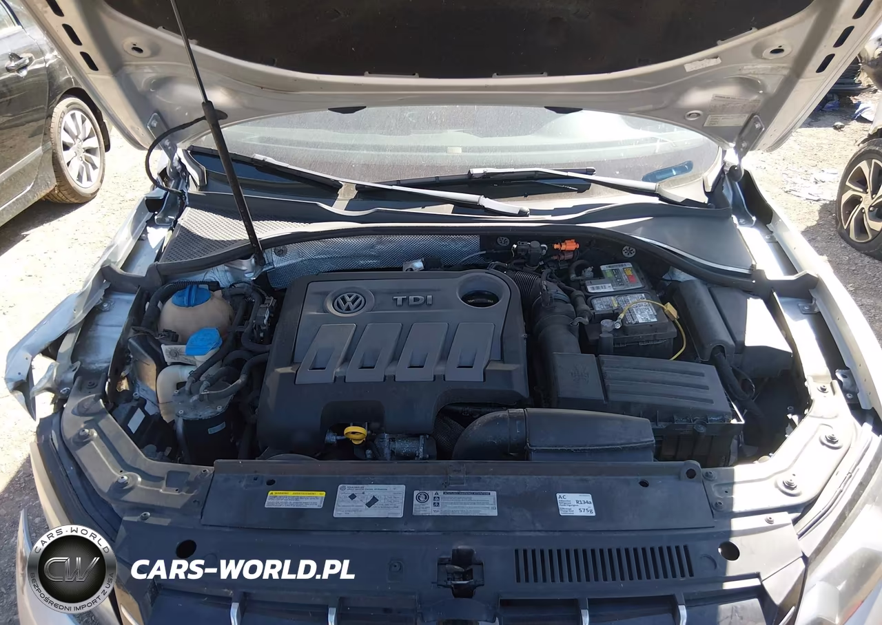 2014 Volkswagen Passat 2.0L Tdi Sel Premium VIN:1VWCN7A37EC056455 - 10