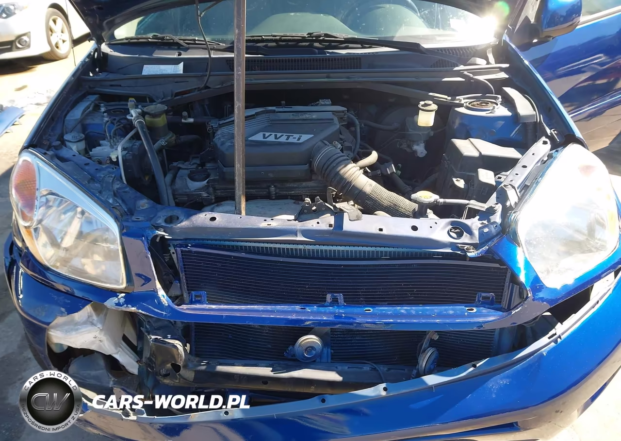2004 Toyota Rav4 VIN:JTEHD20V246015676 - 10